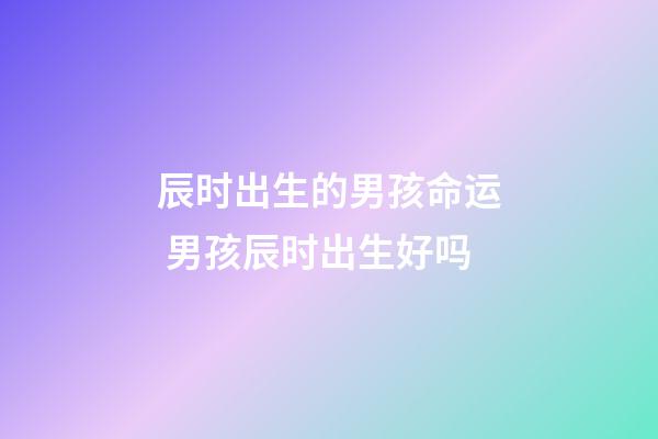 辰时出生的男孩命运 男孩辰时出生好吗